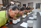 Mujeres de Asomucao en cata de Café, trabajo de Plataforma UPB.